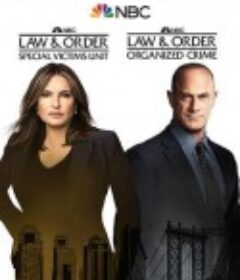 法律与秩序：组织犯罪 第二季 Law & Order: Organized Crime Season 2            (2021)