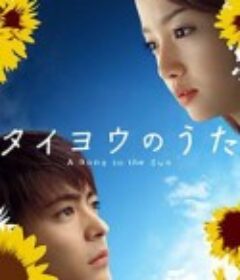 太阳之歌 タイヨウのうた            (2006)