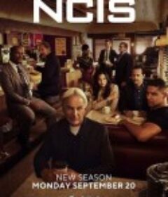 海军罪案调查处 第十九季 NCIS: Naval Criminal Investigative Service Season 19            (2021)