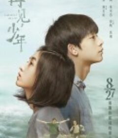 再见，少年            (2020)