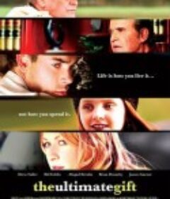 超级礼物 The Ultimate Gift            (2006)