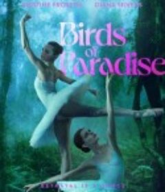 天堂鸟 Birds of Paradise            (2021)