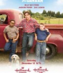 圣诞节回家 Christmas in Canaan            (2009)