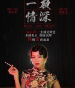 一夜情深            (2013)