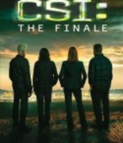 犯罪现场调查完结篇：不朽 CSI: Immortality            (2015)