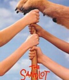 沙地传奇 The Sandlot            (1993)