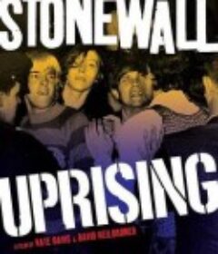 石墙风暴 Stonewall Uprising            (2010)