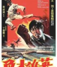 英雄本色            (1973)