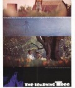 常识树 The Learning Tree            (1969)