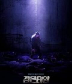 黑色太阳 검은태양            (2021)