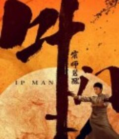 叶问宗师觉醒            (2021)