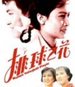 排球之花            (1980)