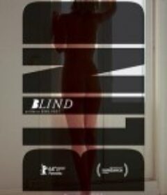 盲视 Blind            (2014)