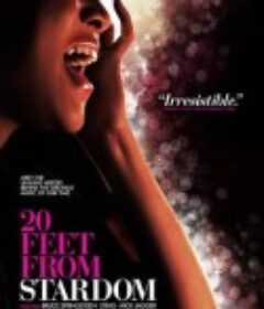 离巨星二十英尺 Twenty Feet from Stardom            (2013)