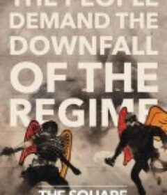 埃及广场 Al midan            (2013)