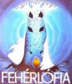 白马之子 Fehérlófia            (1981)