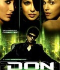 追踪再现 Don            (2006)