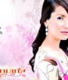 爱的宿命 ลิขิตกามเทพ            (2007)