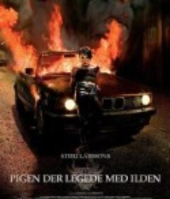 玩火的女孩 Flickan som lekte med elden            (2009)