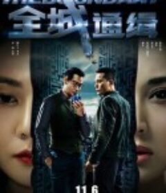全城通缉            (2014)