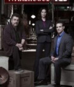 十三号仓库 第四季 Warehouse 13 Season 4            (2012)