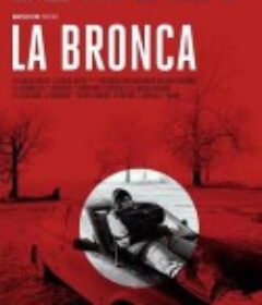 你疯了吗 La bronca            (2019)