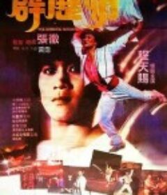 霹雳情 霹靂情            (1985)