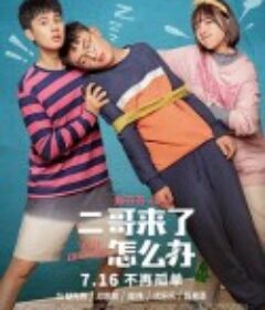 二哥来了怎么办            (2021)