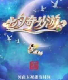 七夕奇妙游            (2021)