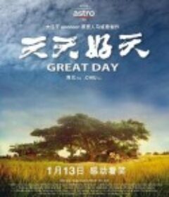 天天好天            (2011)