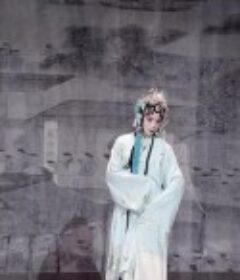 1699桃花扇            (2006)