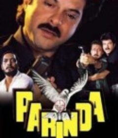 这只是鸟 Parinda            (1989)