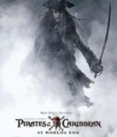 加勒比海盗3：世界的尽头 Pirates of the Caribbean: At World's End            (2007)