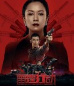 雷霆行动            (2021)
