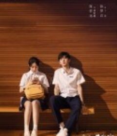 暗格里的秘密            (2021)