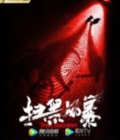 扫黑风暴            (2021)