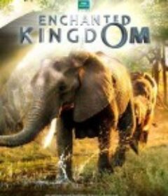 魔法王国 Enchanted Kingdom 3D            (2014)