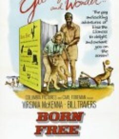 生来自由 Born Free            (1966)