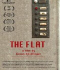 公寓 The Flat            (2011)