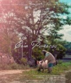 奶奶养的猪 Cría puercos            (2018)