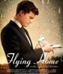 飞归故乡 Flying Home            (2014)