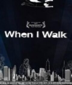 当我行走时 When I Walk            (2013)