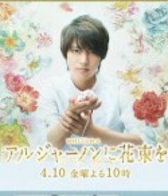 献给阿尔吉侬的花束 アルジャーノンに花束を            (2015)