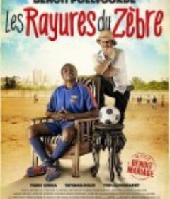 斑马的条纹 Les rayures du zèbre            (2014)