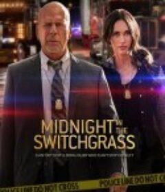午夜的柳枝 Midnight in the Switchgrass            (2021)