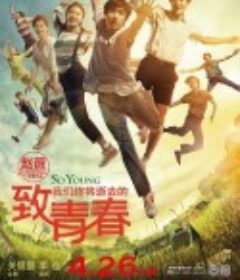 致我们终将逝去的青春            (2013)