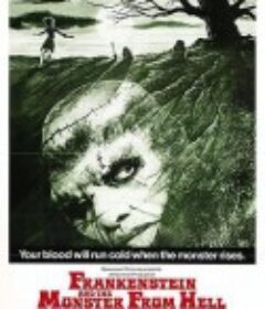 来自地狱的弗兰肯斯坦 Frankenstein and the Monster from Hell            (1974)