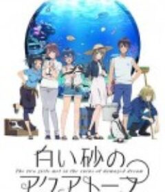 白砂的Aquatope 白い砂のアクアトープ            (2021)