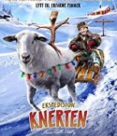 小木人4北极远征 Ekspedisjon Knerten            (2017)