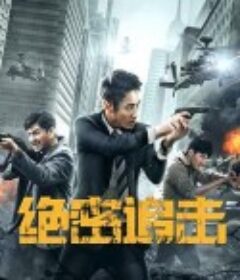 绝密追击            (2021)